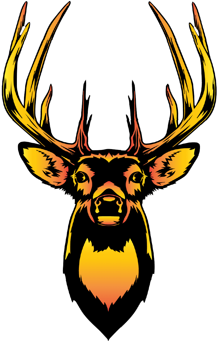 Whitetail deer head with large rack